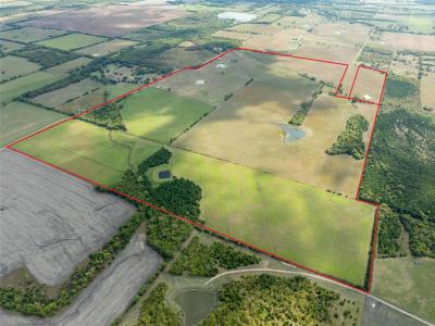 00 CR 15240, Blossom, 德克薩斯州 75416, 美國