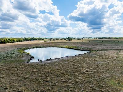 00 CR 15240, Blossom, 德克薩斯州 75416, 美國