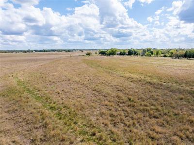 00 CR 15240, Blossom, 德克薩斯州 75416, 美國