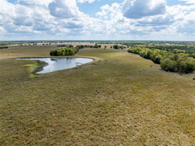 00 CR 15240, Blossom, 德克薩斯州 75416, 美國