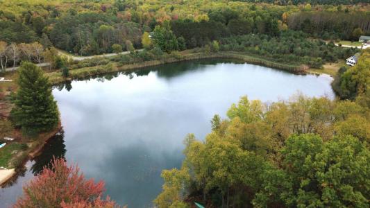 6452 Kilkenny Drive, Canadian Lakes, Michigan 49346, USA