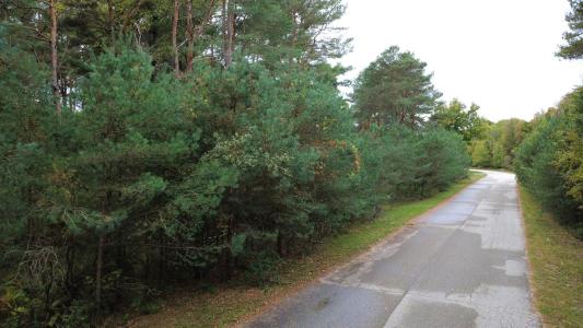 6452 Kilkenny Drive, Canadian Lakes, Michigan 49346