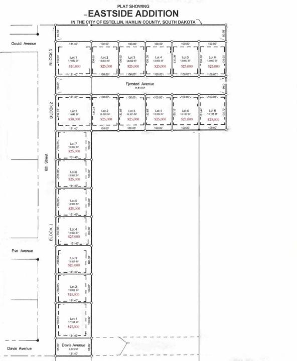 L1, B3 Eastside Addition Fjerstad Ave, Estelline, 南達科他州 57234, 美國