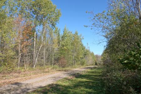 000 Sharpshooter Dr., Medford, Wisconsin 54451, USA