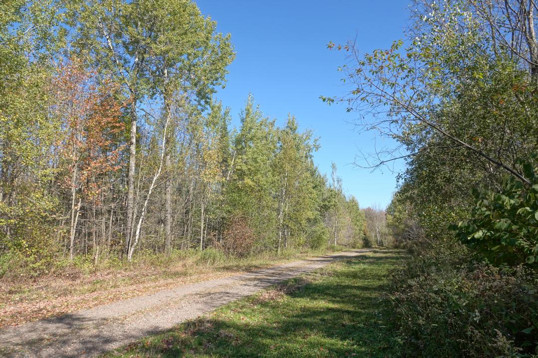 000 Sharpshooter Dr., Medford, Wisconsin 54451, Estados Unidos