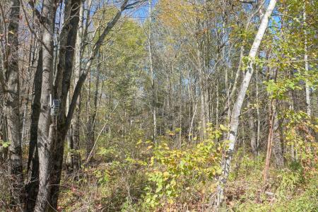 000 Sharpshooter Dr., Medford, Wisconsin 54451, Estados Unidos