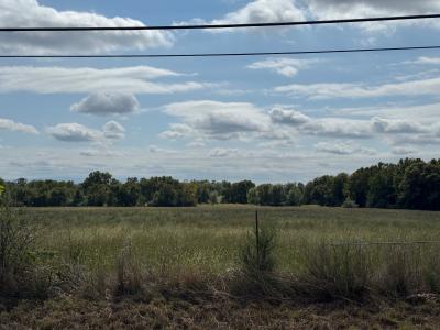 Tract 2 HWY 64, Coal Hill, Arkansas 72832, Estados Unidos