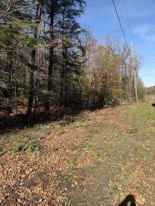 000 Rand Hill Road, Altona, New York 12910, États-Unis