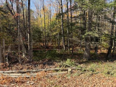 000 Rand Hill Road, Altona, Nueva York 12910, Estados Unidos