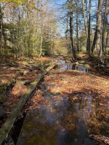 000 Rand Hill Road, Altona, Nueva York 12910, Estados Unidos