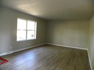 47141 Greenview, Shelby Twp, Michigan 48317, États-Unis