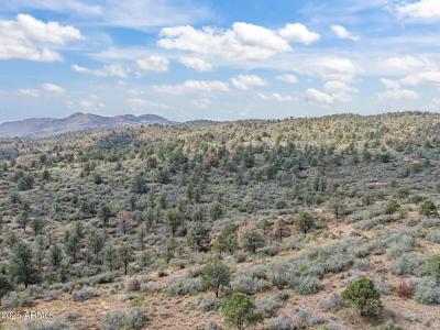 002 Blue Sky Drive #1C, Peeples Valley, 亚利桑纳州 86332, 美国