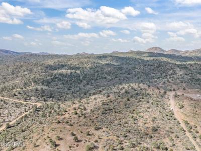 002 Blue Sky Drive #1C, Peeples Valley, 亚利桑纳州 86332, 美国