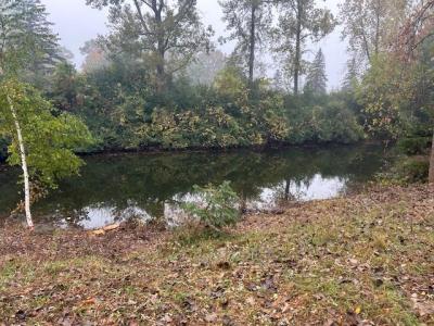 7125 Holiday Drive, Canadian Lakes, Michigan 49346, USA