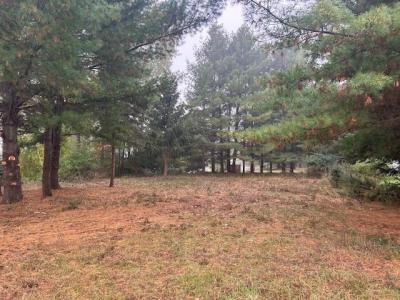 7125 Holiday Drive, Canadian Lakes, Michigan 49346