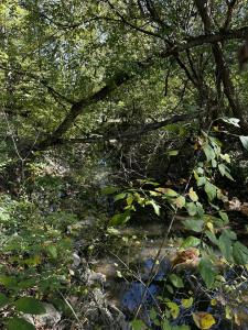 Lot Evergreen Avenue, Portage, Indiana 46368