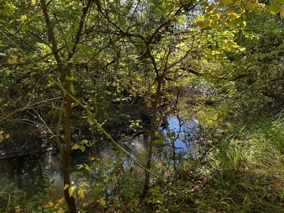 Lot Evergreen Avenue, Portage, Indiana 46368