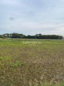 和平段, 大園區, Taoyuan 337, Tajwan