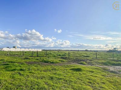 685 Dandenong Hastings Road, Skye, VIC 3977, Australia