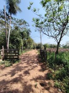 Ruta a Ypane , Ypané, Central 00001, Paraguay