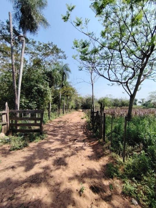 Ruta a Ypane , Ypané, 中央 00001, 巴拉圭