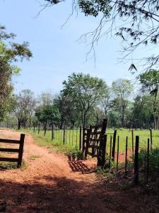 Ruta a Ypane , Ypané, 中央 00001, 巴拉圭