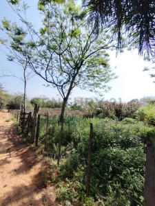 Ruta a Ypane , Ypané, 中央 00001, 巴拉圭