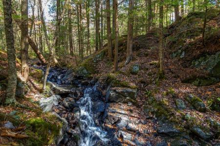 Ch. de la Rive, Orford, Quebec J1X 6T5, Canada