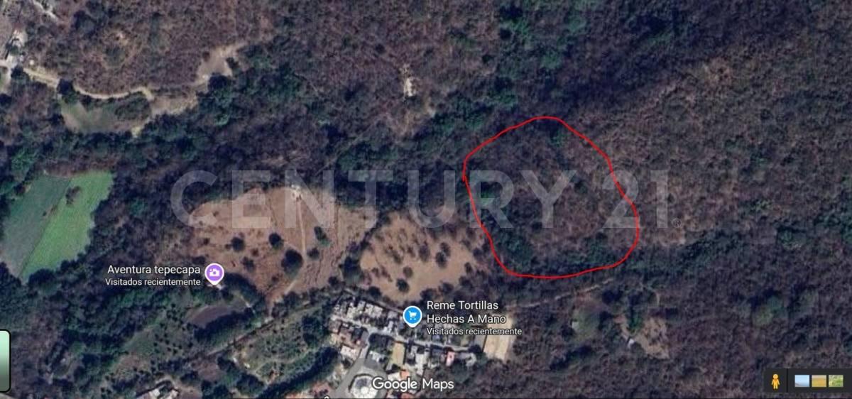 AHUEHUETE 0,, Tlayacapan, Morelos 62546, Mexico