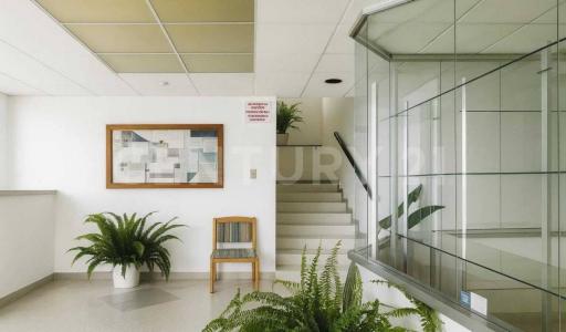 Nuevo Casas Grandes, Chihuahua 31700, Mexico