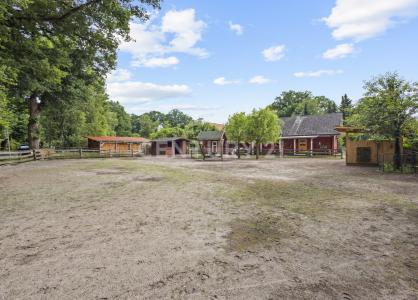 Hemslingen, Niedersachsen 27386, 德国