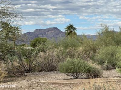 268 E Queen Creek Dr 121, 122, 123, Queen Valley, 亚利桑纳州 85118, 美国