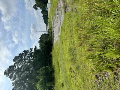 4620 East Oglethorpe Hwy, Hinesville, גאורגיה 31313, ארצות הברית של אמריקה