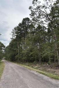 Codo Lane Lane, Hot Springs Village, Arkansas 71909, USA