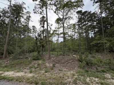 Codo Lane Lane, Hot Springs Village, Arkansas 71909, USA