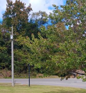 0 Brandon Avenue SW, Roanoke, Вирджиния 24014, Соединенные Штаты