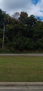 0 Brandon Avenue SW, Roanoke, Вирджиния 24014, Соединенные Штаты