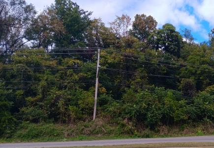 0 Brandon Avenue SW, Roanoke, Вирджиния 24014, Соединенные Штаты