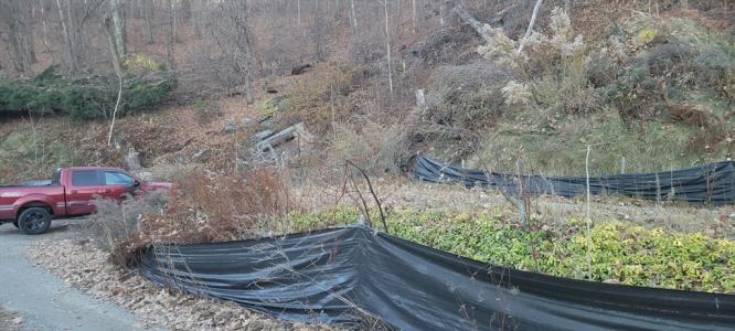 91-93 Natural History Drive, Worcester, 메사츄세츠 01604, 미국