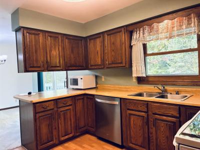 206 Thompson Street, Verona, Wisconsin 53593-1044, Estados Unidos