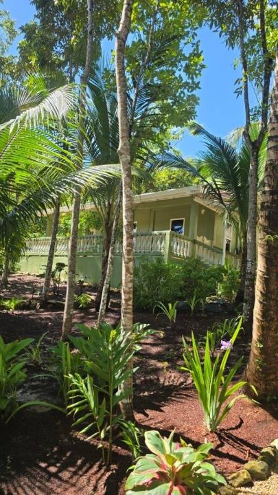 San Antonio, Toledo 00001, ベリーズ