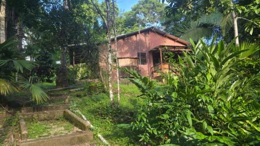 San Antonio, Toledo 00001, ベリーズ