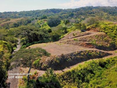 Quebrada Amarilla Jacó Garabito, Puntarenas 00001, Costa Rica