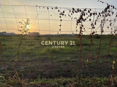 文昌路, Shanhua Dist., Tainan City 741, Taiwan