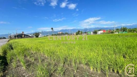 臨海路二段, Taitung, Taitung County 950, Taïwan