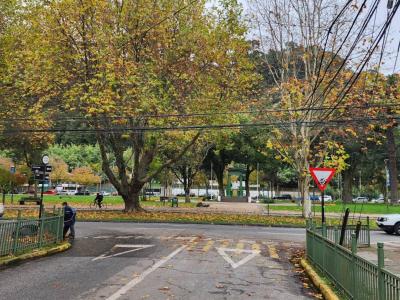 Concepción, Región Del Biobío 00001, Chile