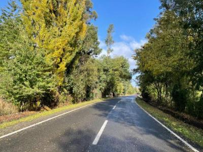 Cautín, Región De La Araucanía 00001, Cile