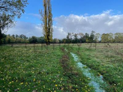 Cautín, Región De La Araucanía 00001, Chile