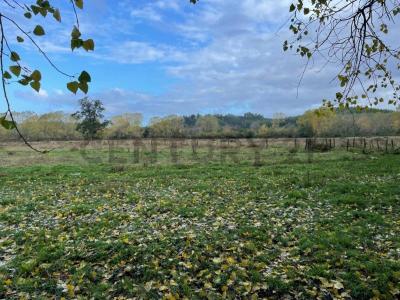 Cautín, Región De La Araucanía 00001, Chile