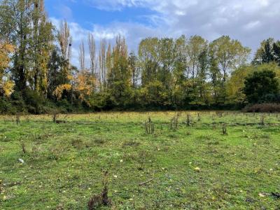 Cautín, Región De La Araucanía 00001, Chile